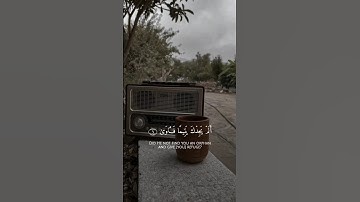 ألم يجدك يتيما فآوى ووجدك ضالا فهدى| محمد صديق المنشاوي🌱 #قران #قرآن_كريم #سورة_الضحى