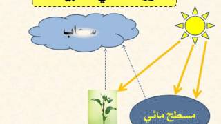 دورة الماء في الطبيعة (أحياء ثالث ثانوي)- أ / رأفت حسين