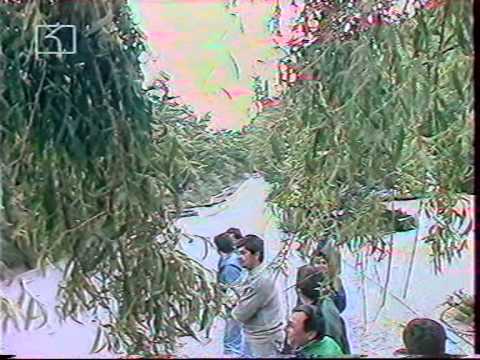 Rally Zlatni 1995 BNT