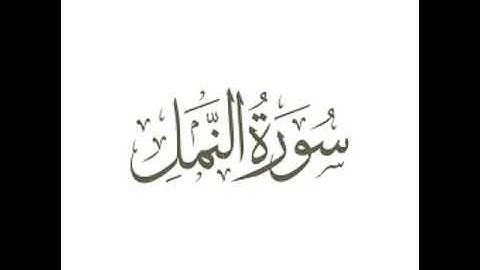 من صلاة العشاء ماتيسر من سورة النَّمْل