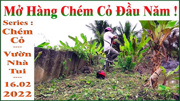 Mở Hàng Chém Cỏ Đầu Năm !... ( Series : Chuối !.. Series : Vườn Nhà Tui !..16.02.2022_16.01.2021 al)