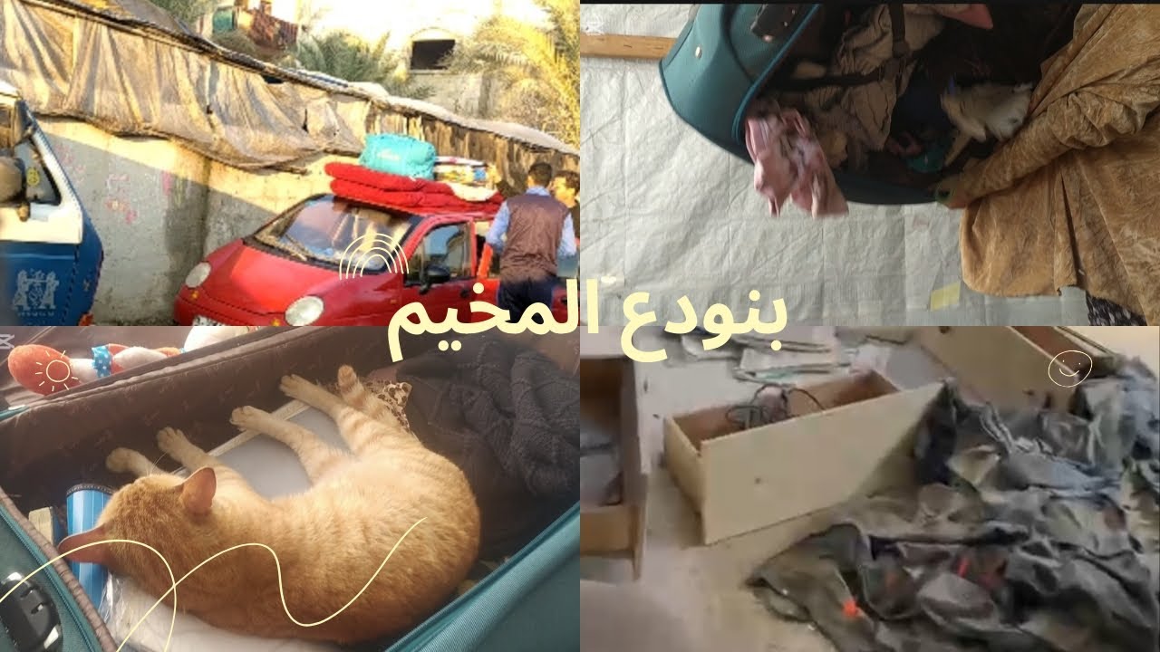 صور بيتنا في الشمال 🇵🇸 ودعنا الأهل 🖐🏻