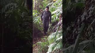 #video #viral #viralvideo #livewhitnature #nature Em có bao giờ