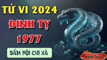 Tử vi Đinh Tỵ 1977 năm 2024 – Vận trình tươi sáng nhiều may mắn