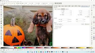 For Marla - Inkscape basics for sublimation