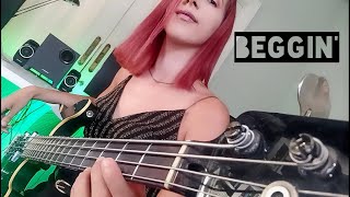 Måneskin - Beggin' (Bass Cover \u0026 TABS in description)
