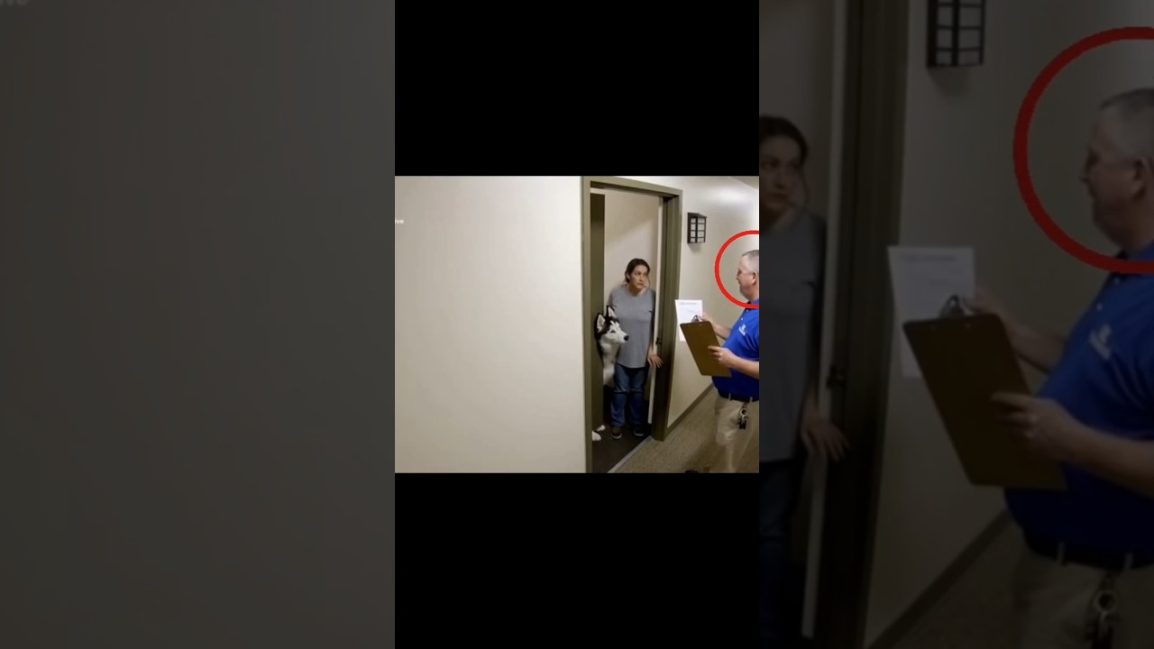 Everyone Thought This Husky Was a Problem… They Were Wrong😱