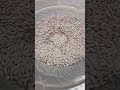 The production process of tablet supplements... #supplementwholesaler