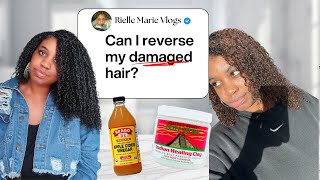 Trying AZTEC CLAY MASK on DAMAGED HAIR | My last attempt