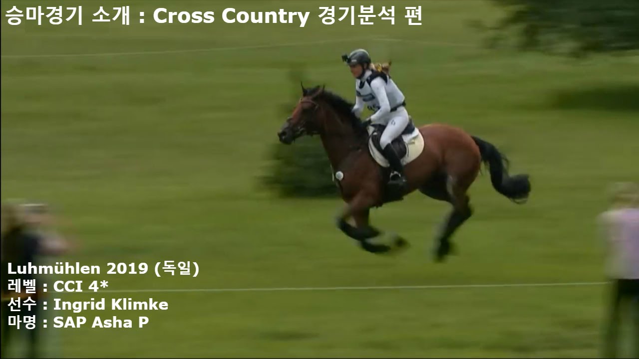 승마경기 소개 : Cross-Country 분석 #2