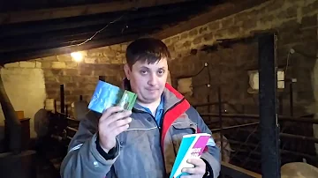 Какой Доход От 3 Свиней???,Всё Честно!!!!!!