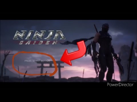 Ninja Gaiden 4 or Fan Animation?