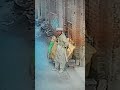 Chorron Ka Nayaa Tariqaa-e-Waardaat!#trending #youtubeshorts #shorts #viral #viral_video