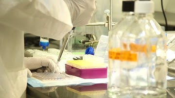 About Us: Cell Signaling Technology (CST)