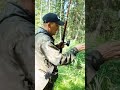 Хариус,  рыбалка,  таёжная речка,  лес,  тайга