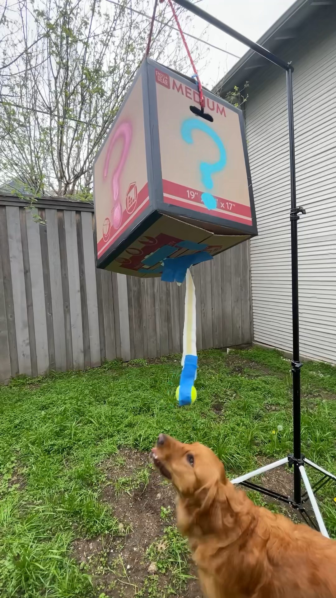 What's in the Piñata?