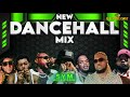 NEW DANCEHALL MIX 2026 VYBZ KARTEL JAMAL ALKALINE POPCAAN DICELEBRITYY CHRONIC LAW SKENG TOMMY LEE