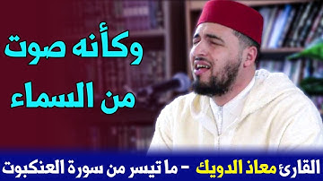 القارئ معاذ الدويك || ما تيسر من سورة العنكبوت