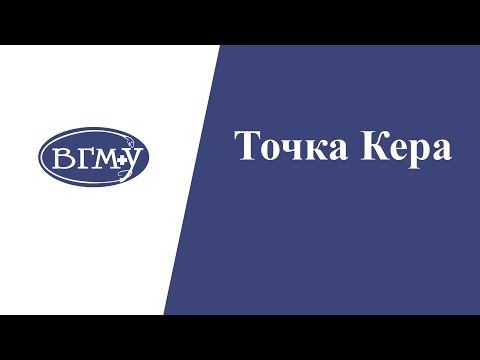 Точка Кера
