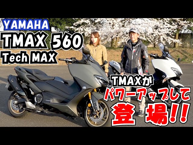 ヤマハのタイ・テイバーモデルに付いてたPU』 hq720.jpg?sqp=-