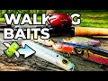 Topwater Lures for Fall Bass I Walking Baits That WORK!!