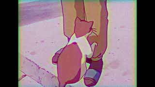 Anri - CAT'S EYE (NEW TAKE) /slowed & reverb/