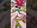 adaptor praktis buat kabel usb type c tanpa ribet #adaptorusb #konektorusb #kabeltypec