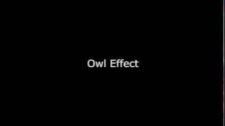 Audio Effect | Animal | Owl Effect | efek suara burung hantu