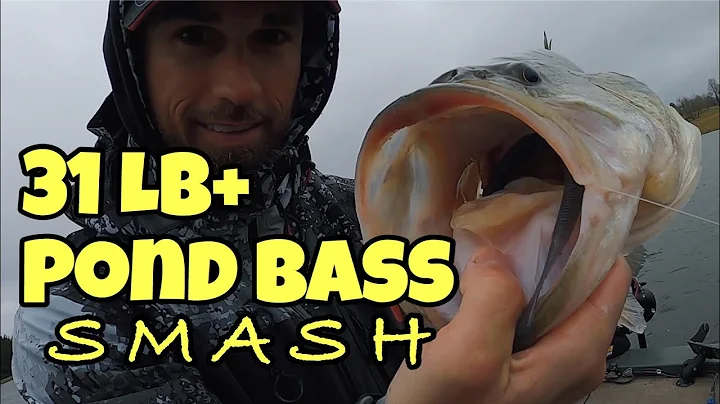 POND BASS SMASH DAY: 31 LB+ with Derek Hudnall