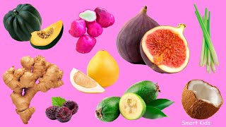 Learning Berries Fruits&amp;Vegetables Part 2  | Learn Berries names &amp; names of fruits and vegetables