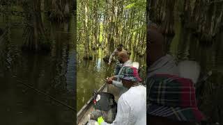 Santee Cooper's Shellcracker Fishing Smack Down!