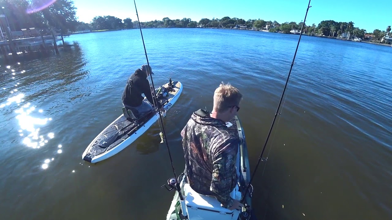 Topwater and Fly Fishing for Florida Snook YouTube