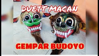 Keblak Keblak Jaranan Gempar Budoyo  Kluar 2 Macan 