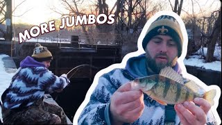 Jumbo Perch Fishing in a FROZEN LOCK!
