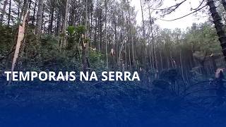 Temporais na serra
