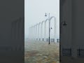 Туманное утро в Славянске-на-Кубани