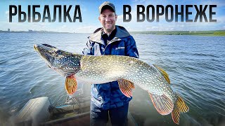 Рыбалка на трофейную щуку на ВОРОНЕЖСКОМ ВОДОХРАНИЛИЩЕ. Рыбу ловят все!