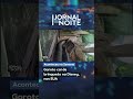 Garoto cai de brinquedo na Disney, nos EUA | Jornal da Noite | Aconteceu na Semana #shorts
