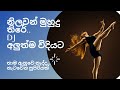 2k21  nilwan muhudu theere  official cover extened house mix  sl dj remix  music gallery