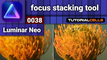 0038. focus stacking in Luminar Neo