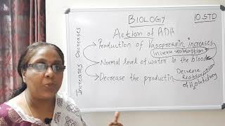 Regulation of water 10th std Biology
