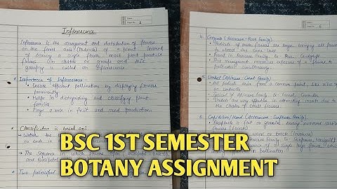 Bsc 1st Semester Botany Assignment || How to make Assignments|| Bsc Botany Assignment
