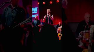 Trubute David Bowie