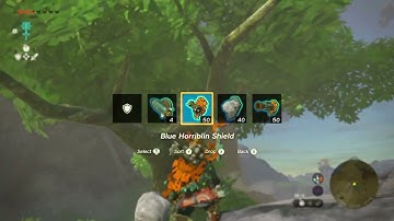 [DAY 307] of finding one korok seed in TotK everyday until a new Zelda game comes out