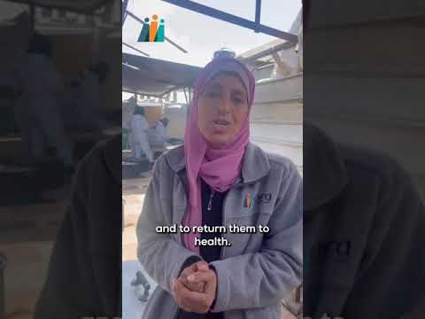 How Anera's Community Kitchens in Gaza Work