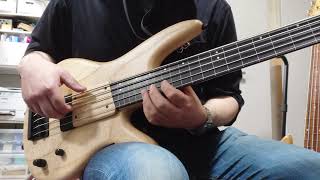 Ibanez GWB1005 Gary Willis Signature DEMO - YouTube