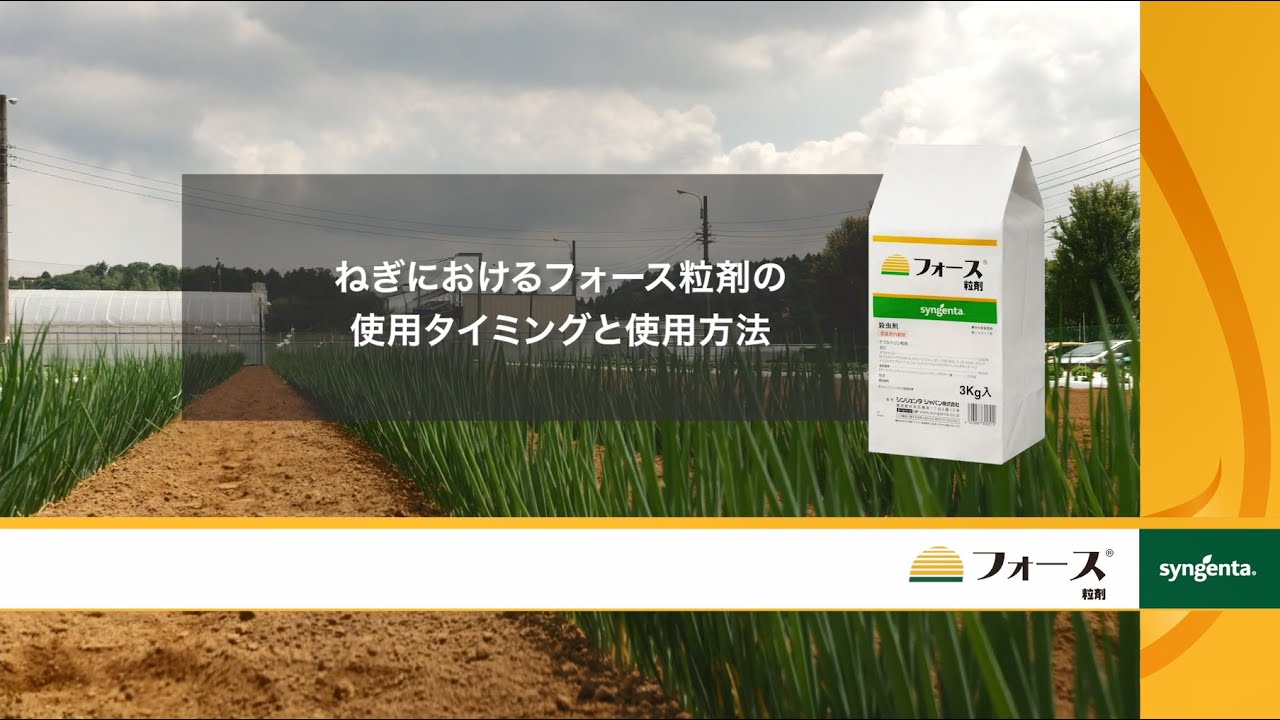 フォース 粒 剤