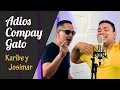 ADIOS COMPAY GATO KARIBE Ft JOSIMAR Y SU YAMBU Video Lyric Oficial 
