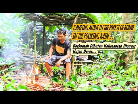 Camping Alone in the Forest of Borneo - In The Pouring Rain @Brillian Survival TV