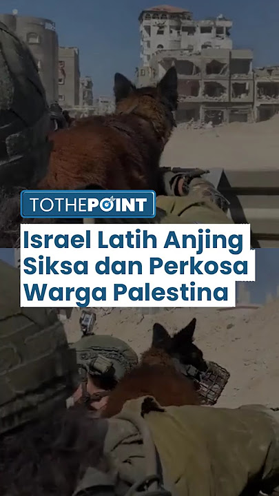 Israel 'Kesetanan', IDF Latih Anjing Militer untuk Siksa dan Perkosa Warga Palestina yang Ditahan